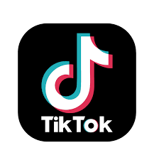 TIKTOK Video Add-On